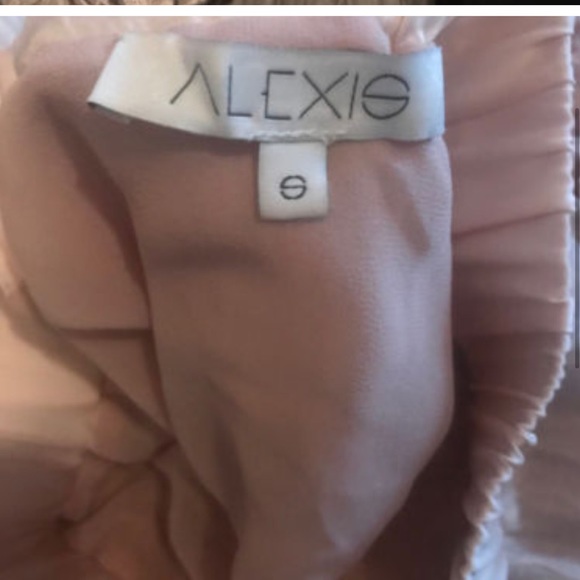 ALEXIS Intermix *Gracilia* blush pink lace sleeveless top & *Mallory* skirt S - Picture 11 of 11